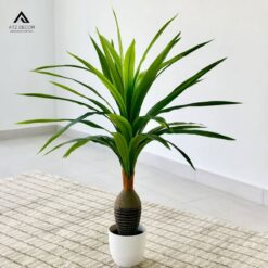cây thiết mộc lan thân tròn giả