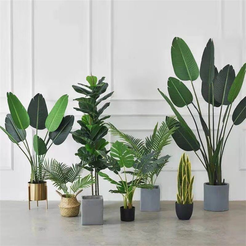 Phong cách Zen - Tạo nét thanh bình và tĩnh lặng cho không gian nội thất 8 phong cách nội thất zen