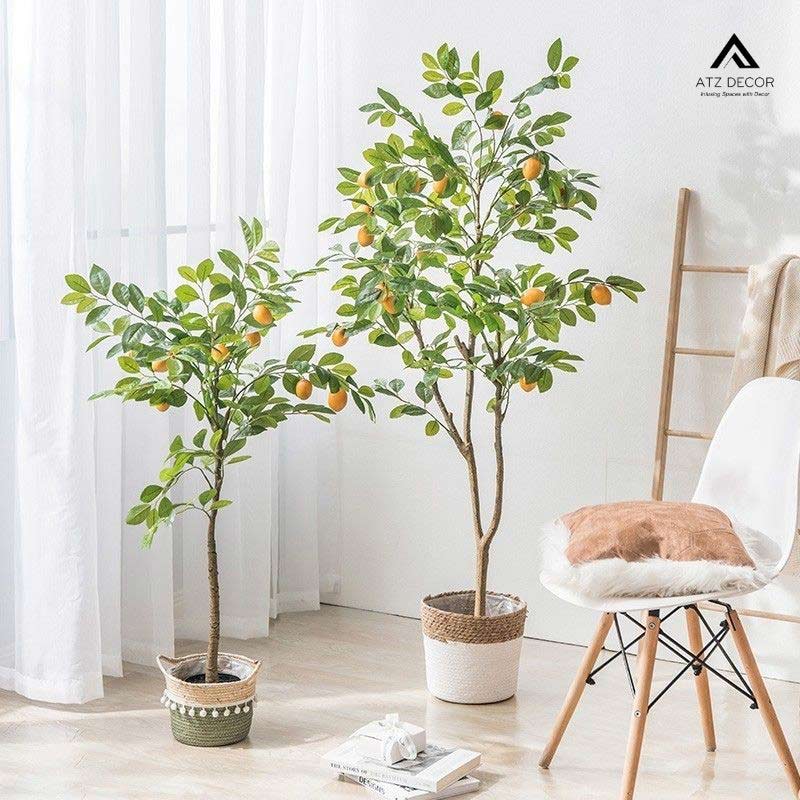 Phong cách nội thất Địa Trung Hải với nguồn cảm hứng bất tận đến từ biển cả 13 phong cách nội thất địa trung hải