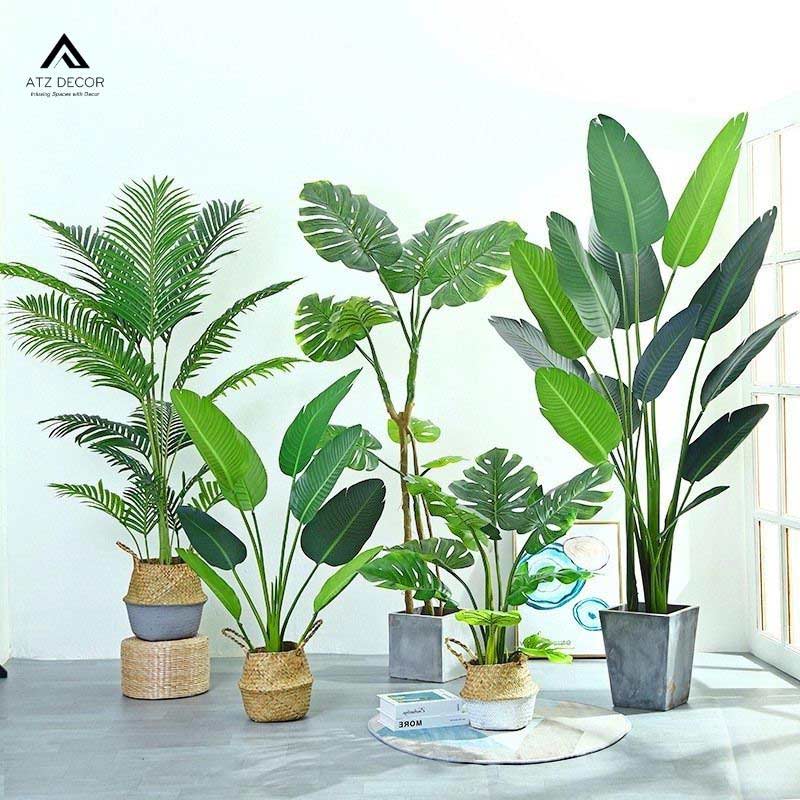 Phong cách Tropical (nhiệt đới) và những nét đặc trưng độc đáo 9 phong cách thiết kế nội thất tropical