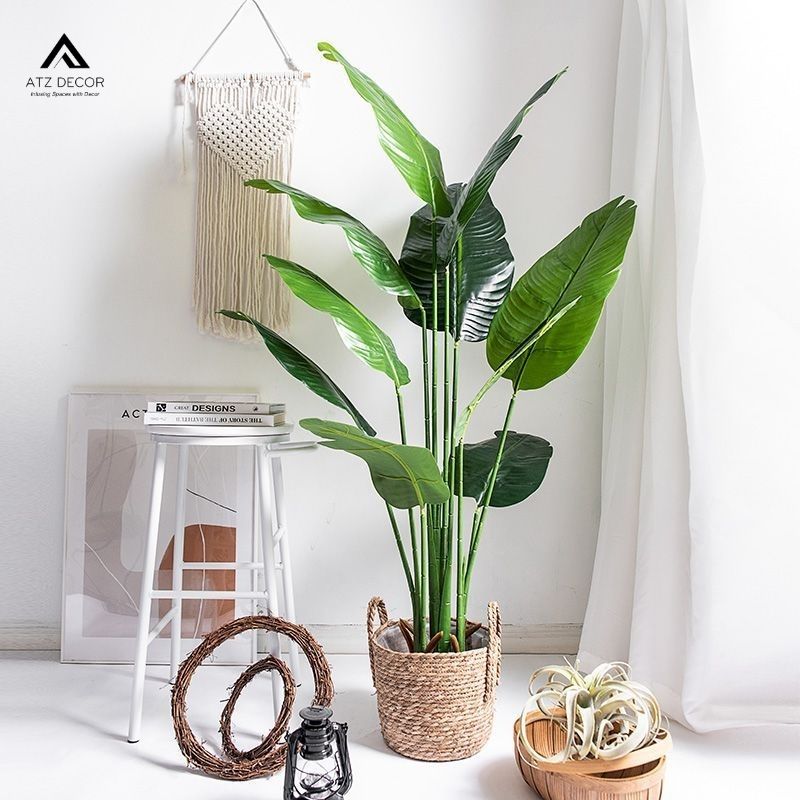 Phong cách Tropical (nhiệt đới) và những nét đặc trưng độc đáo 11 phong cách thiết kế nội thất tropical