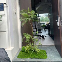 tiểu cảnh cây phượng tím giả