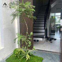 tiểu cảnh cây phượng tím giả