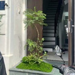 tiểu cảnh cây phượng tím giả