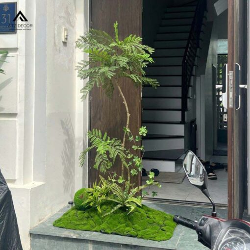 tiểu cảnh cây phượng tím giả
