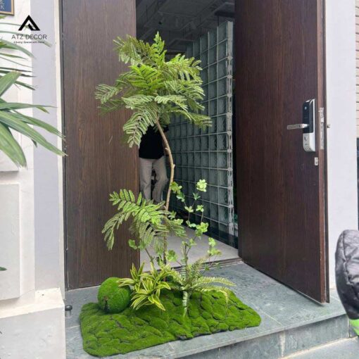 tiểu cảnh cây phượng tím giả