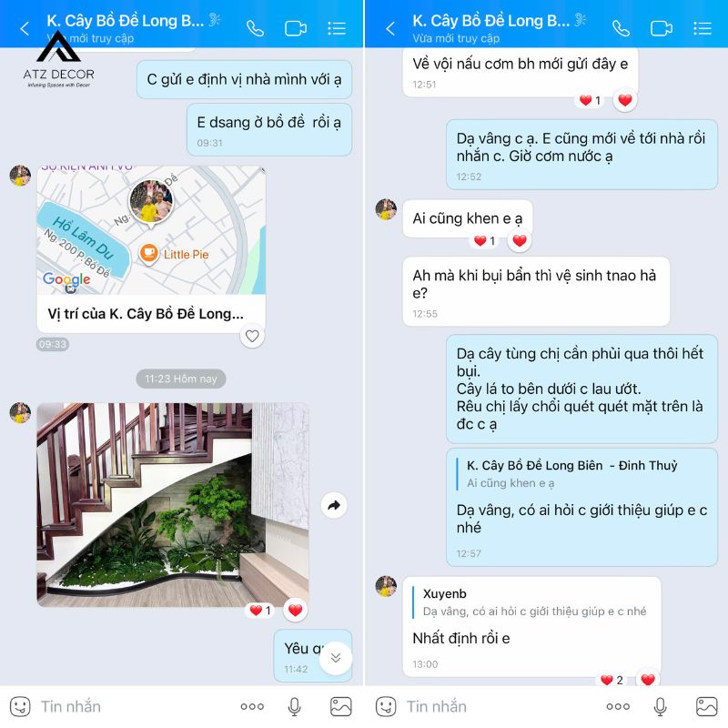 Thi công tiểu cảnh cây tùng giả gầm cầu thang cho khách hàng tại Long Biên, Hà Nội 16 feedback khách tiểu cảnh cây giả