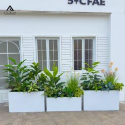 bồn cây nhiệt đới giả