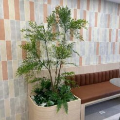 tiểu cảnh cây nam thiên trúc giả trang trí quán ăn