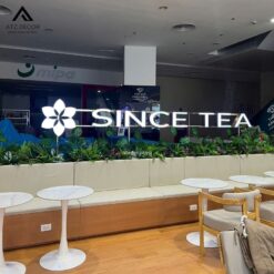 Cây tùng giả - bon cay gia decor quan tra sua