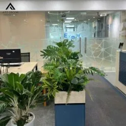 bục cây giả văn phòng công ty TLP